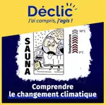 Miniature infographie 1 - les shifters