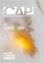 CAP 3 Business Unusual