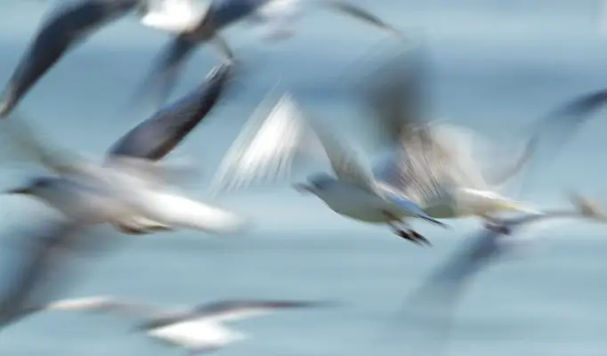 t=>{var i,r;return M(j[n],ee(n,t),((i=te(t))!=null?i:[])[n],((r=ae(t))!=null?r:[])[n],t==null?void 0:t.class,t==null?void 0:t.className)(m)}